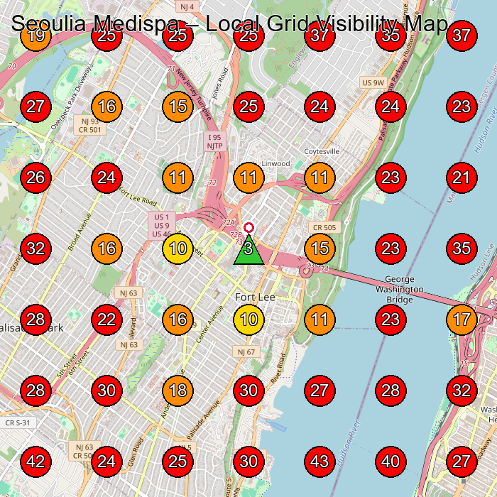 Seoulia Medispa GeoGrid visibility map for Medical Spa in Fort Lee